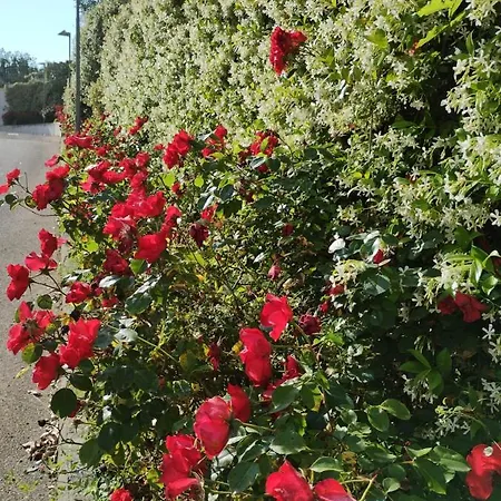 Apartamento La Casetta Nel Vasto